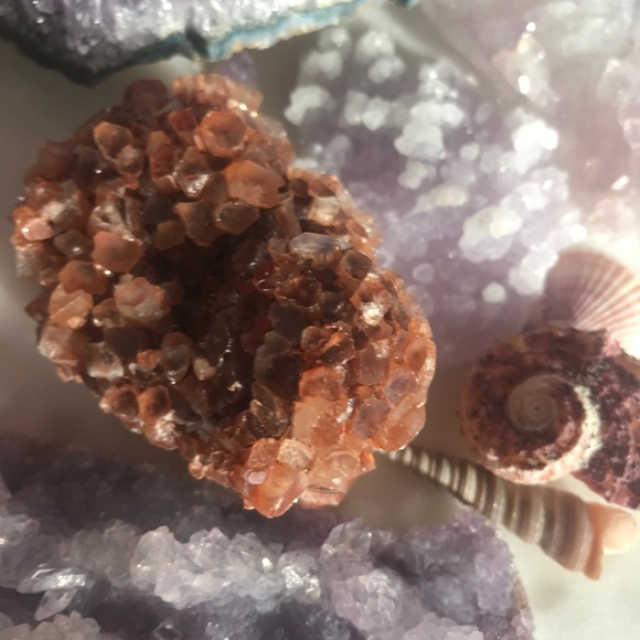 Meet your Posher, Alyssia - Picture 5 of 6